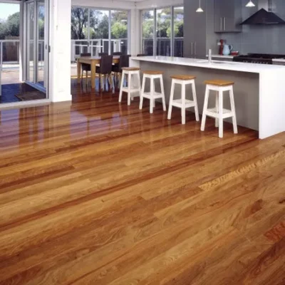 Hamilton home with timber flooring